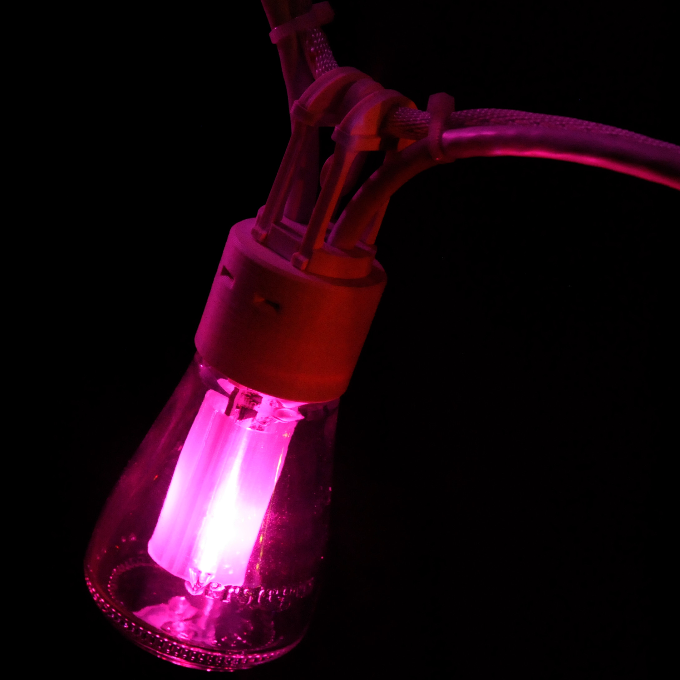 Magenta
